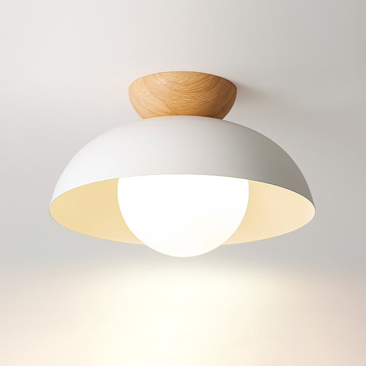 Modern Minimalist Flush Mount Ceiling Light – 11.8in Metal and Glass Design for Stylish Home Lighting-1